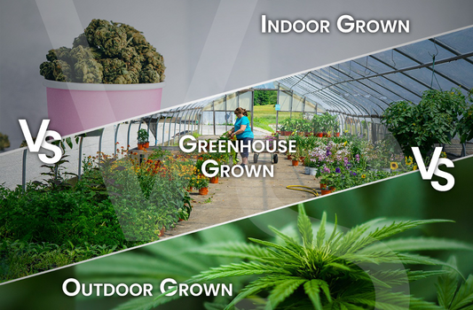 Indoor Vs Outdoor Vs Greenhouse Grown Cannabis