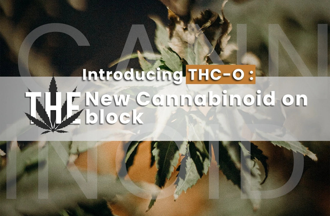 What is THC-O Acetate? THC-O Effects | Does it get you high?